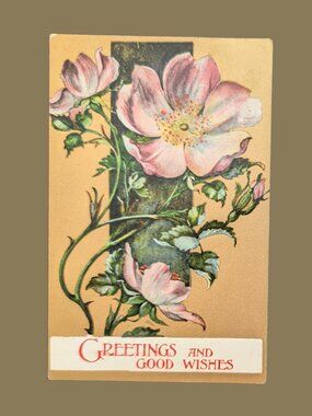 10/$25 Antique 1901 Gilded Postmarked Golden Age Floral Postcard Undivided Back
